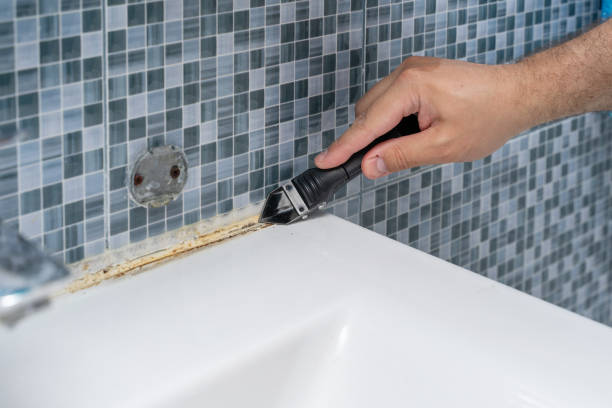 Best Mold Damage Repair  in Loving, NM